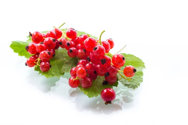 Спелые летние ягоды красной смородины изолированы на белом — стоковое фото