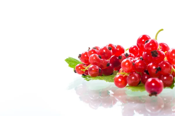 Ripe summer berry red currant isolated on white — Stock Photo, Image