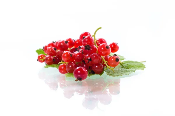 Ribes rosso frutti estivi maturi isolato su bianco — Foto Stock