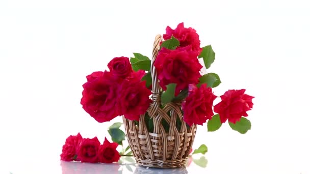 Bukiet pięknych czerwonych róż odizolowanych na białym — Wideo stockowe