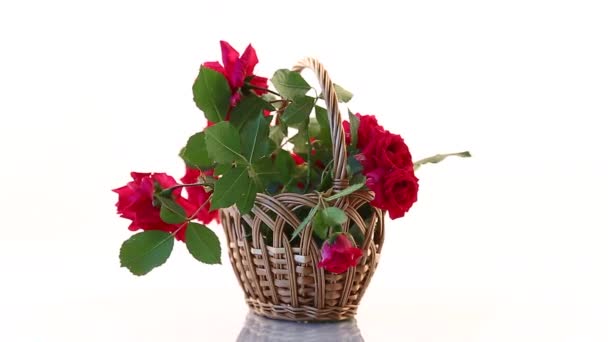 Ramo de hermosas rosas rojas aisladas en blanco — Vídeos de Stock