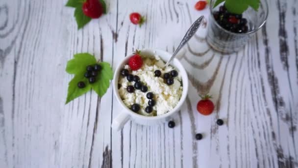 Fresh homemade cottage cheese with summer berries — Stock Video