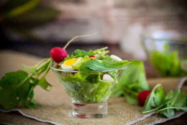 Bahar salatası roka, haşlanmış yumurta, taze turp, cam kasede salata yaprakları.