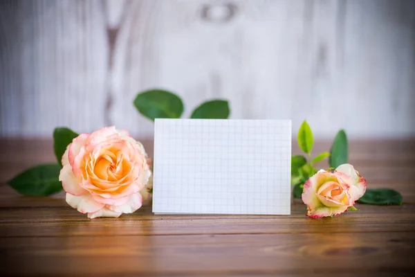 Rosa belas rosas de verão com papel timbrado em branco para texto — Fotografia de Stock
