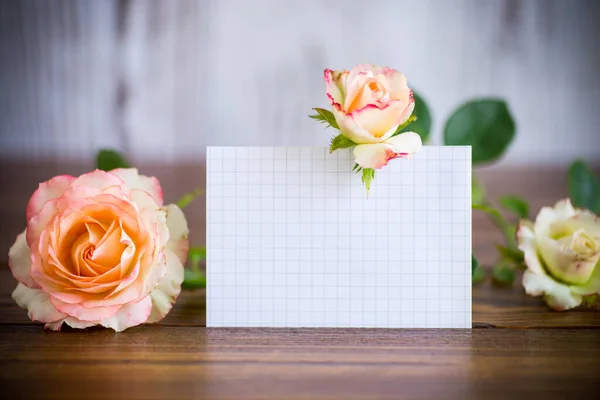 Pink beautiful summer roses with blank letterhead for text — Stock Photo, Image