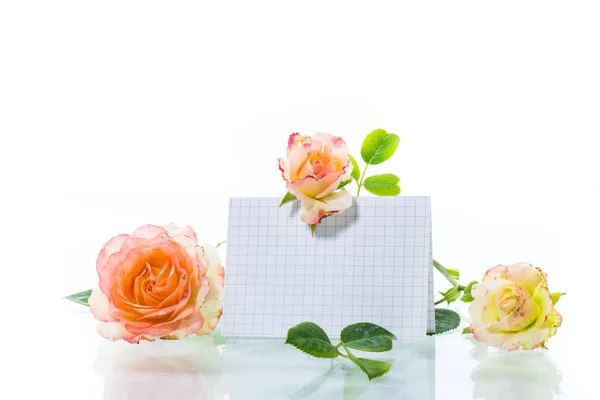 Mesajda boş antetli pembe güzel yaz gülleri Stok Fotoğraf