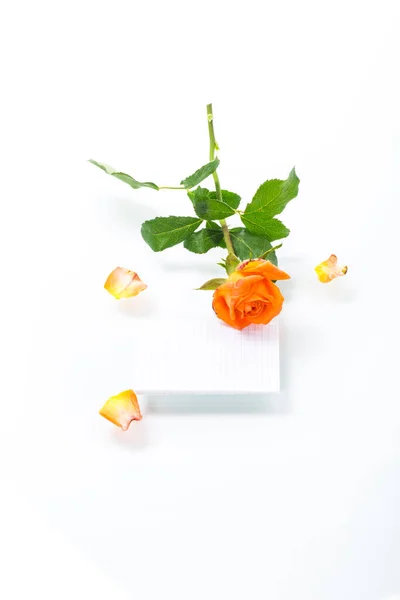 Orange beautiful summer roses with blank letterhead for text — Stock Photo, Image