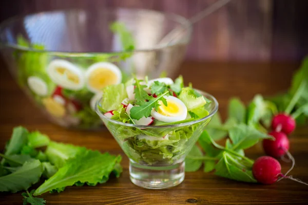 Frühlingssalat Mit Rucola Gekochten Eiern Frischem Rettich Salatblättern Einer Glasschüssel — Stockfoto