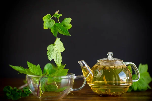 在木制桌子上的玻璃杯茶壶中 用醋栗叶作清凉的绿茶 — 图库照片