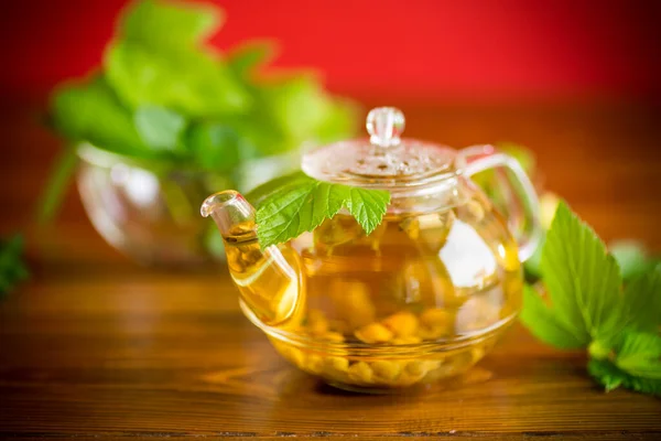 Καλοκαιρινό Δροσιστικό Βιολογικό Τσάι Από Φύλλα Φραγκοστάφυλου Γυάλινη Τσαγιέρα Ξύλινο — Φωτογραφία Αρχείου
