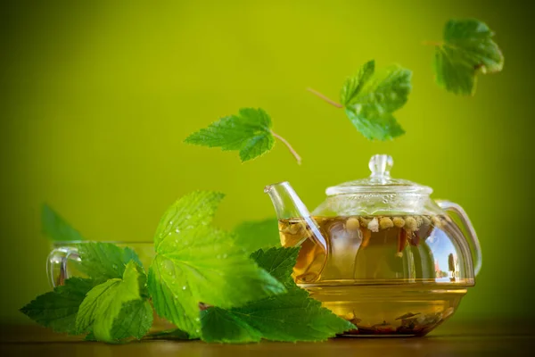 Summer Refreshing Organic Tea Currant Leaves Glass Teapot Wooden Table — Stock Photo, Image