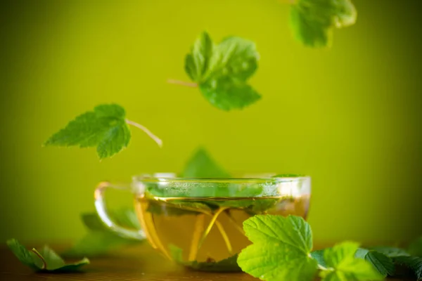 Summer Refreshing Organic Tea Currant Leaves Glass Teapot Wooden Table — Stock Photo, Image