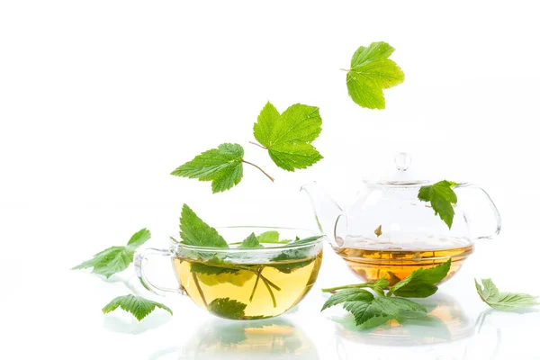 Lato Orzeźwiający Herbata Organiczna Liści Porzeczki Szklanym Czajniczek Izolowane Białym — Zdjęcie stockowe