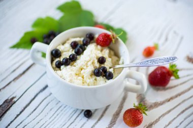 Taze ev yapımı süzme peynir ve yaz meyveleri kasede.