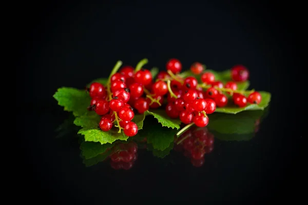 Ripe Summer Berry Red Currant Black Background — Stock Photo, Image