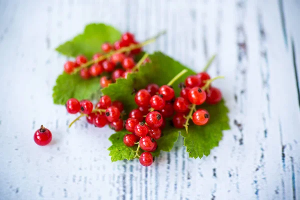 Ripe Summer Berry Red Currant Wooden Table — Stock Photo, Image