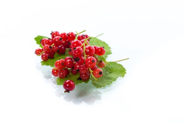 Ripe Summer Berry Red Currant Isolated White Background — Stock Photo, Image