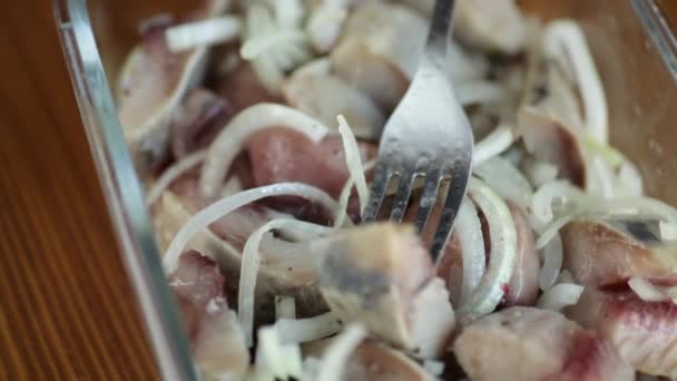 Morceaux de hareng salé maison avec oignons et épices — Video