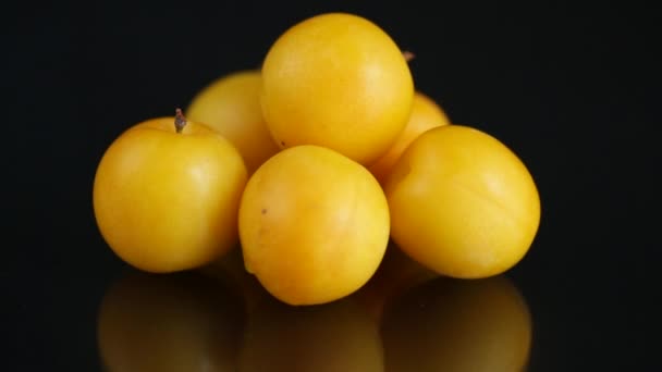 Ciruelas de cereza amarillas sobre el fondo negro — Vídeo de stock