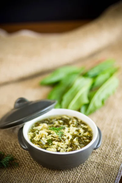Zuppa fresca di primavera biologica con acetosa verde e uovo in un piatto — Foto Stock