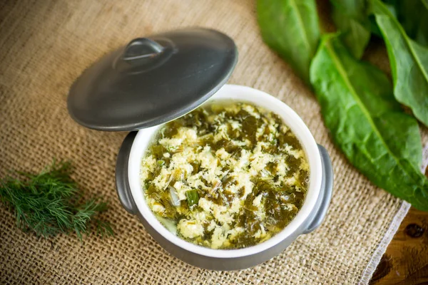 Свежий весенний органический суп с зеленым соррелем и яйцом в тарелке Лицензионные Стоковые Фото