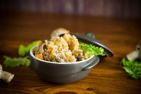 Arroz cozido vegetariano com cogumelos em uma tigela de cerâmica — Fotografia de Stock