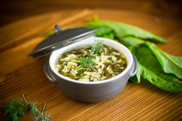 Fresh spring organic soup with green sorrel and egg in a plate on a wooden table — Stock Image Fresh Spring Organic Soup Green Sorrel Egg Plate Wooden Table Stock Image