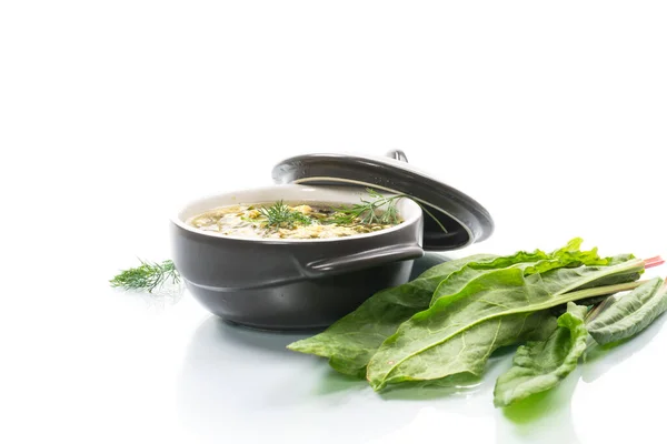 Fresh spring organic soup with green sorrel and egg in a plate isolated on white background — Stock Image Fresh Spring Organic Soup Green Sorrel Egg Plate Isolated White Stock Picture