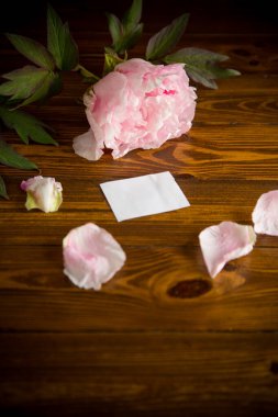 Yaprakları olan pembe bir çiçek, tahta bir masanın üzerinde boş bir kart.