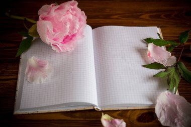 Yaprakları olan pembe, güzel bir şakayık. Tahta masadaki yazı için boş bir defter.