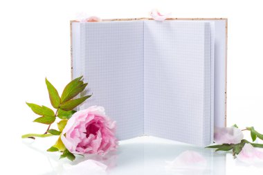 Yapraklı pembe güzel şakayık, beyaz arkaplanda izole edilmiş metin için boş defter