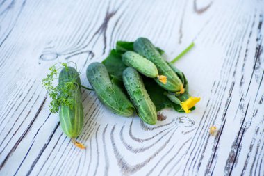Tahta arka planda taze yeşil salatalıklar.