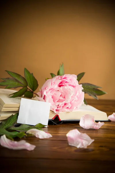 peony pink beautiful flower, book, empty card on a wooden table