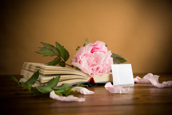 peony pink beautiful flower, book, empty card on a wooden table
