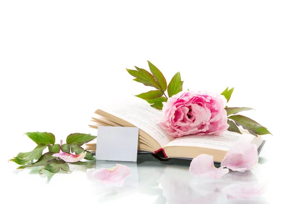 Півонія Рожева Красива Квітка Книга Порожня Картка Ізольована Білому — стокове фото