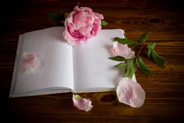 Rózsaszín Gyönyörű Bazsarózsa Szirmokkal Üres Jegyzetfüzet Szöveg Egy Asztalon — Stock Fotó
