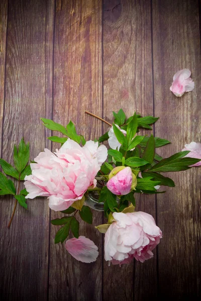 美しいピンク色の牡丹が木のテーブルに花びらを咲かせ — ストック写真