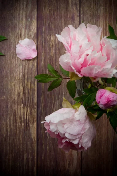 Mooie Roze Bloeiende Pioenrozen Met Bloemblaadjes Een Houten Tafel — Stockfoto