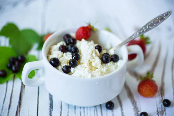 Fresh Homemade Cottage Cheese Summer Berries Bowl — Stock Photo, Image