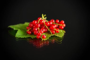 Olgun yaz üzümlü üzümlü üzümlü, siyah arka planda.