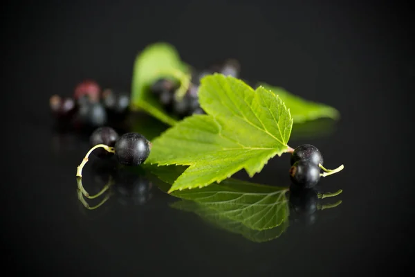 Reife Schwarze Johannisbeeren Mit Isolierten Blättern Auf Schwarzem Hintergrund — Stockfoto