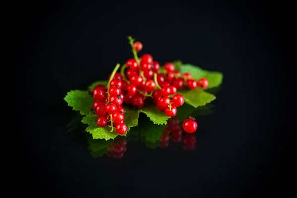 Ripe Summer Berry Red Currant Black Background — Stock Photo, Image