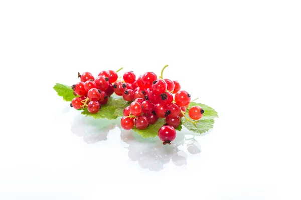 成熟的夏莓红醋栗 白色背景隔离 — 图库照片