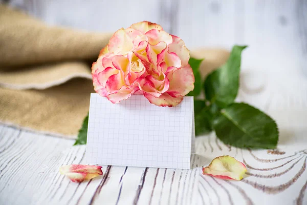 浅粉色玫瑰 带有空白卡片 用于木制背景上的文字 — 图库照片