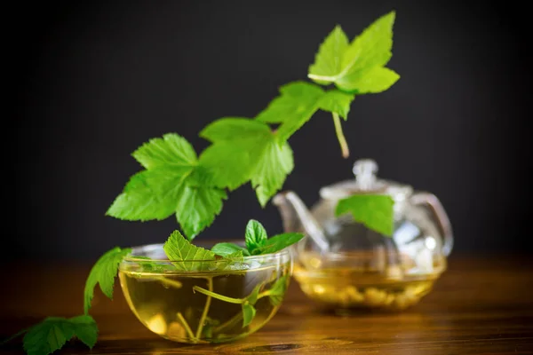 在木制桌子上的玻璃杯茶壶中 用醋栗叶作清凉的绿茶 — 图库照片