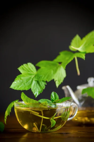 在木制桌子上的玻璃杯茶壶中 用醋栗叶作清凉的绿茶 — 图库照片