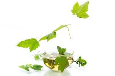 Beyaz arka planda izole edilmiş cam çaydanlıktaki üzümlü yapraklardan taze organik çay.