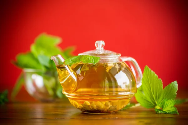 在木制桌子上的玻璃杯茶壶中 用醋栗叶作清凉的绿茶 — 图库照片