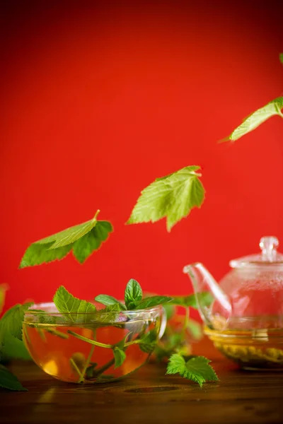 Zomer Verfrissende Biologische Thee Van Bessen Bladeren Een Glazen Theepot — Stockfoto