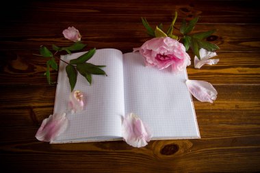 Yaprakları olan pembe, güzel bir şakayık. Tahta masadaki yazı için boş bir defter.